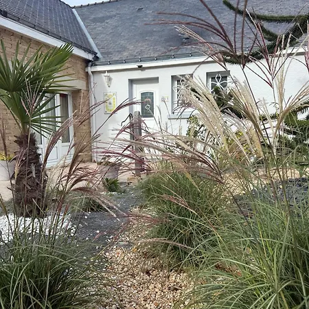 Cavalibre-mesquer * Mesquer