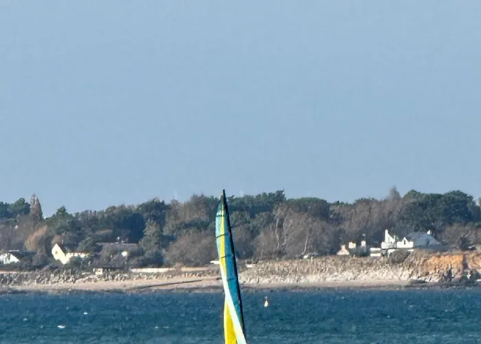 Cavalibre-mesquer * Mesquer