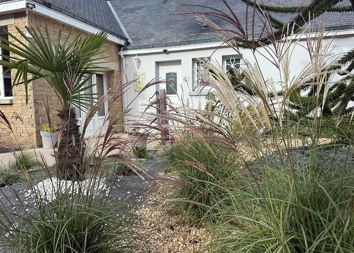 Cavalibre-mesquer * Mesquer